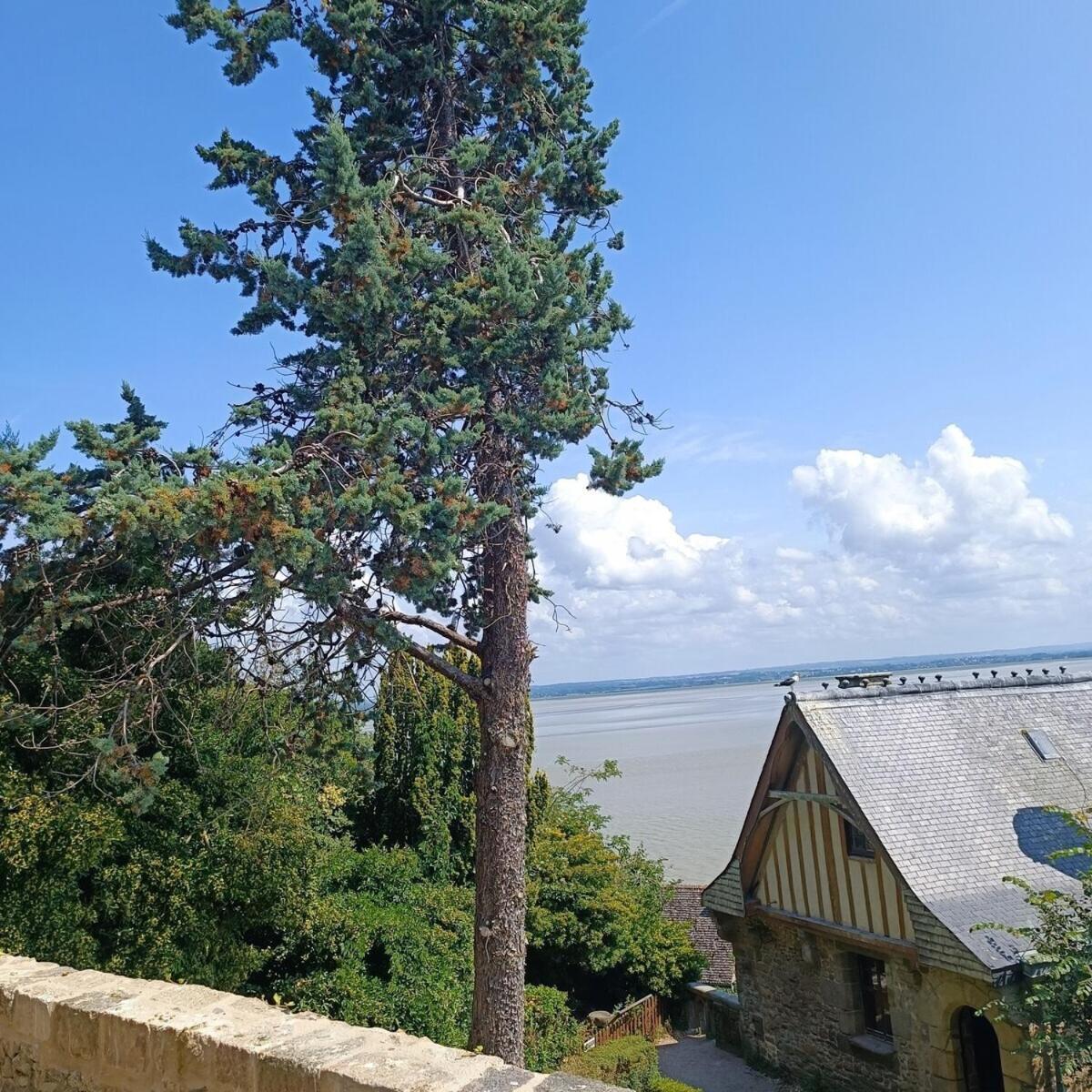 Chez Adele Villa Mont-Saint-Michel Exterior photo